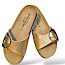 Josef Seibel Hermine 14 in gold Pantolette