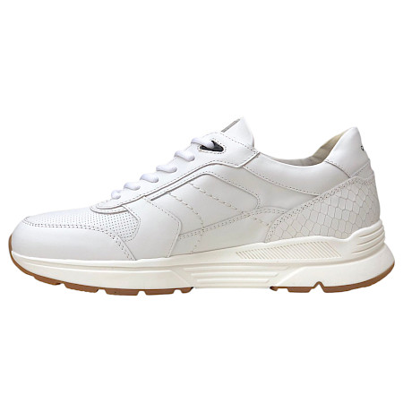 Australian B00 Herren Schnürer Weiß aus Leder mit austauschbarer Einlegesohle, leichter Leder Sneaker für Alltag und Freizeit Australian B00 Herren Schnürer Weiß aus Leder mit austauschbarer Einlegesohle, leichter Leder Sneaker für Alltag und Freizeit