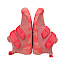 Affenzahn 01493-40068 Talky Pony Lauflerner in Coral aus weichem Leder mit zwei Klettverschlüssen, flexibler Lauflernsohle und wasserdichter AffenTex-Membran. Affenzahn 01493-40068 Talky Pony Lauflerner in Coral aus weichem Leder mit zwei Klettverschlüssen, flexibler Lauflernsohle und wasserdichter AffenTex-Membran.