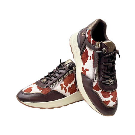Carmela 164360 Damen-Sneaker in Brown aus Leder mit dunkelbraunen, weißen und rostbraunen Fell-Optik-Details, goldfarbenem Reißverschluss und heller Plateausohle. Bequemer Leder-Sneaker mit... Carmela 164360 Damen-Sneaker in Brown aus Leder mit dunkelbraunen, weißen und rostbraunen Fell-Optik-Details, goldfarbenem Reißverschluss und heller Plateausohle. Bequemer Leder-Sneaker mit...